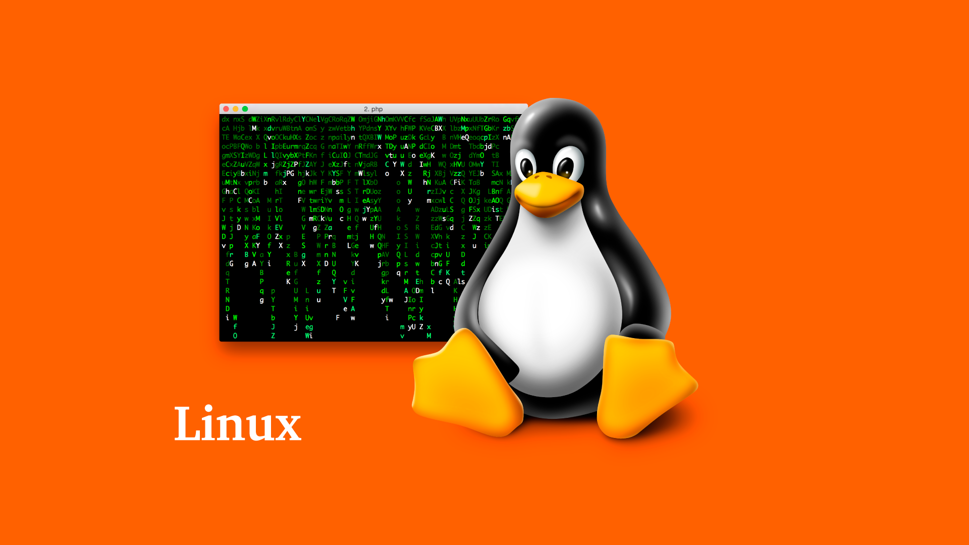 linux-progamador.png